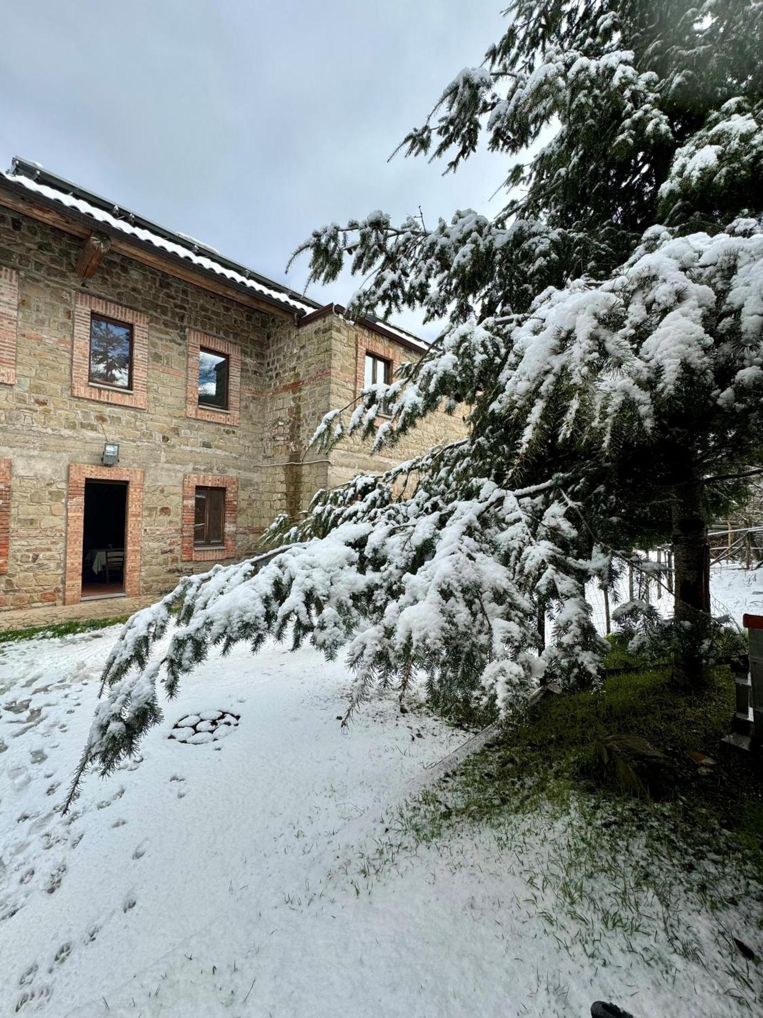 Nebris - Rifugio Del Parco Hotel San Fratello Exterior photo