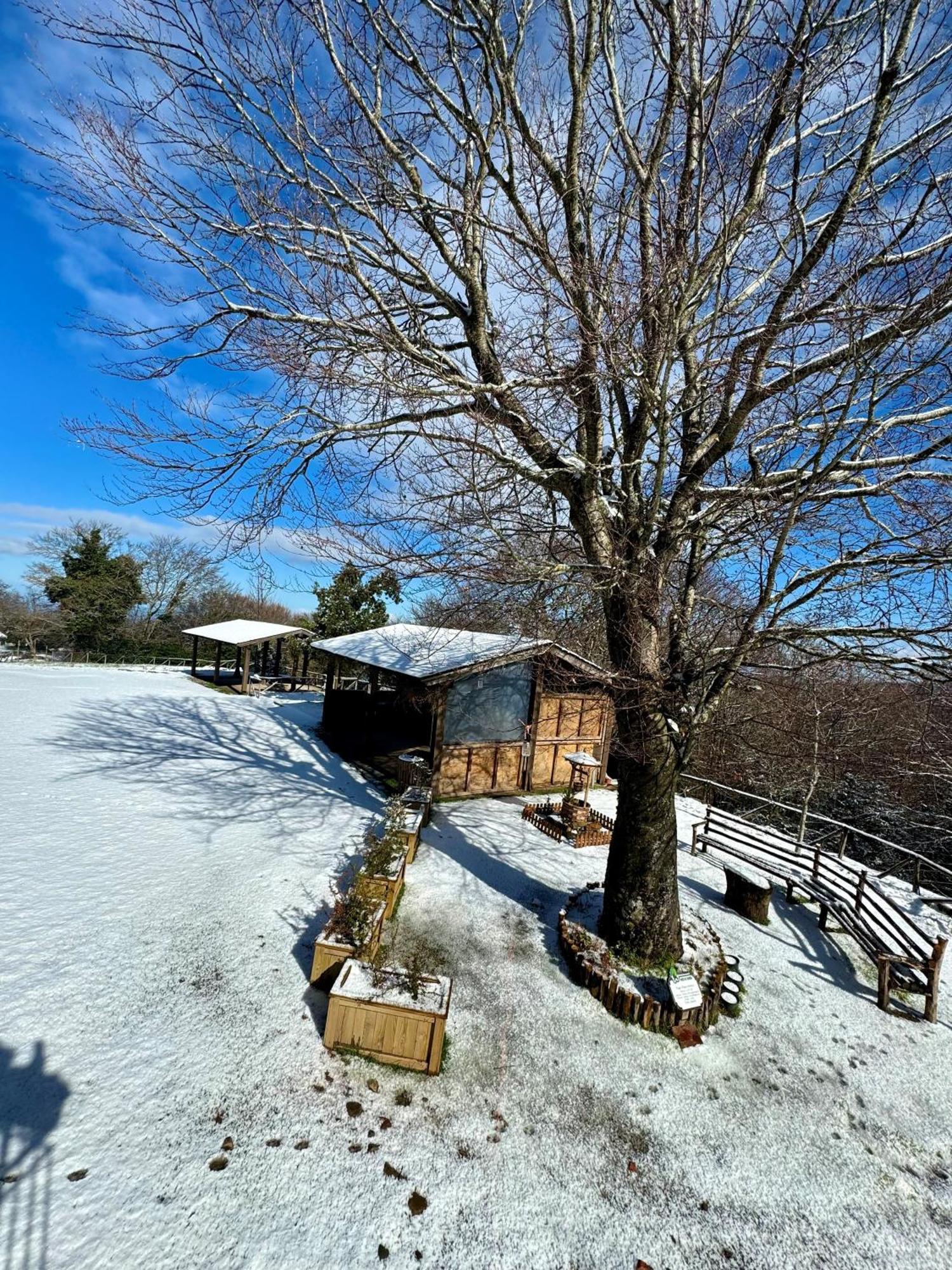 Nebris - Rifugio Del Parco Hotel San Fratello Exterior photo